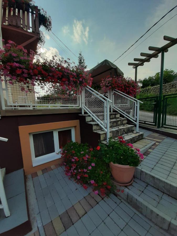 西格利盖特Rozsakert Vendeghaz住宿加早餐旅馆 外观 照片